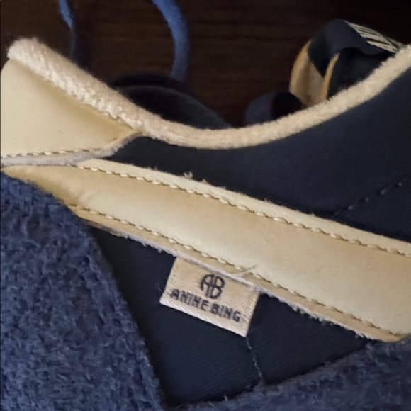 Reebok Classic Nylon X Anine Bing colab main image 11